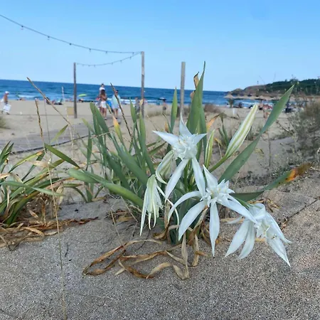 Lilia Voyage, Kavatsi Lägenhet Sozopol